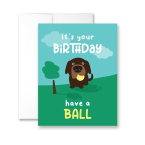 It&#039;s Your Birthday Have A Ball Greeting Cards